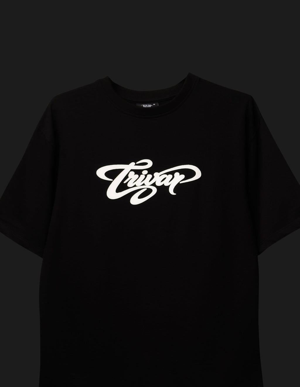Wild Black Bear T-Shirt